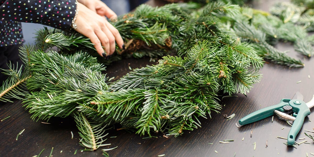 3 Simple Crafts You Can Make With Fresh Evergreen Platt Hill Nursery