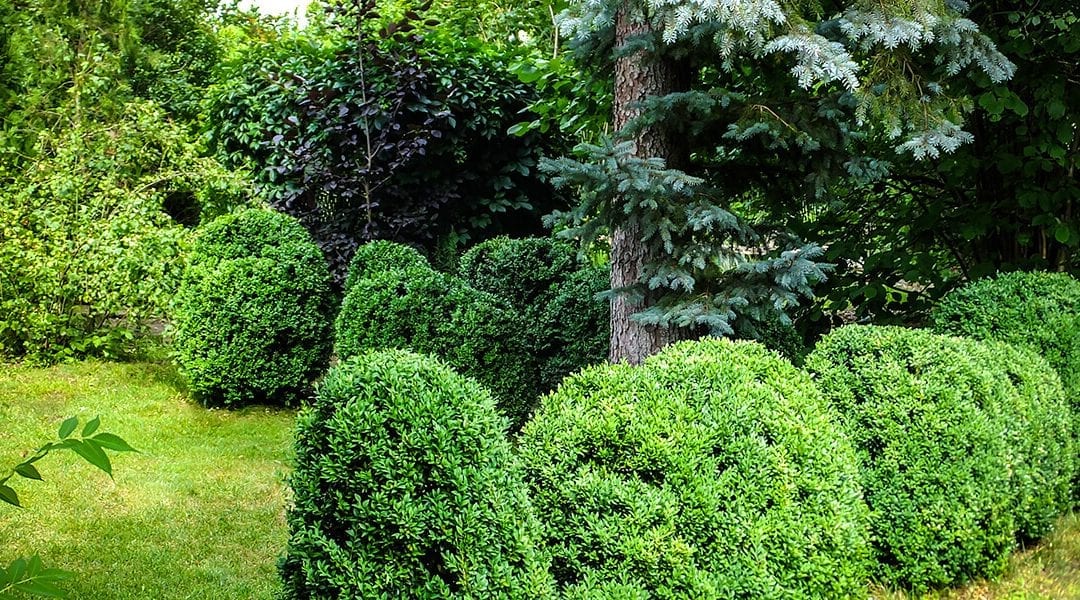 Transitioning the Home & Landscape from Fall to Winter
