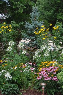 Lake Street Garden Center Coupons : Tree Coupon Program City Of Tacoma ...